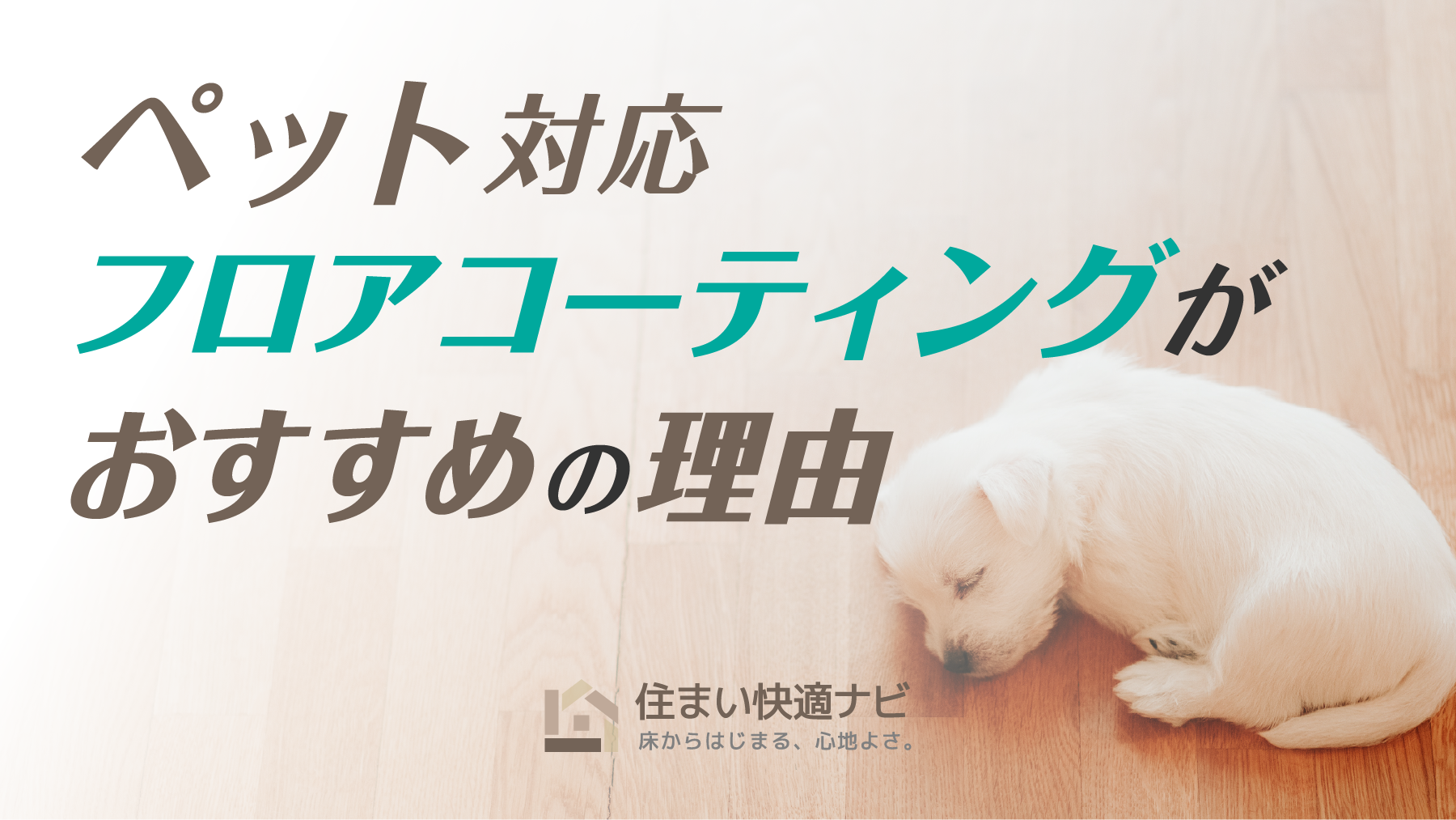 ペット対応フロアコーティングがおすすめな理由【愛犬の滑りを防ぐ】