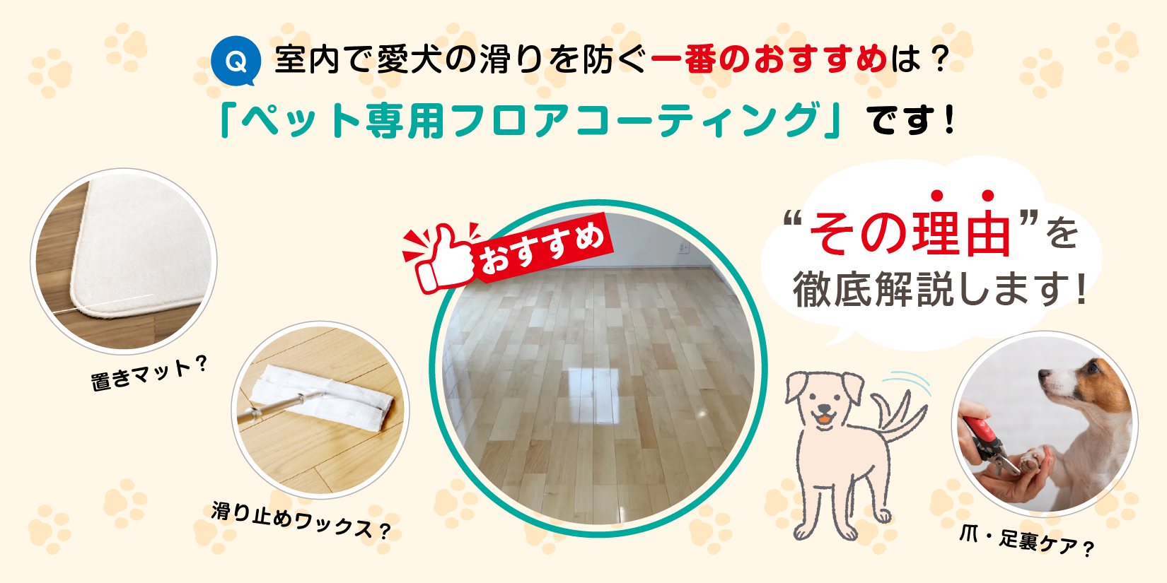 滑り防止・掃除・安心の“三拍子”で選ぶなら、ペットフロアコーティングが近道|ペットフロアコーティングがおすすめな4つの理由