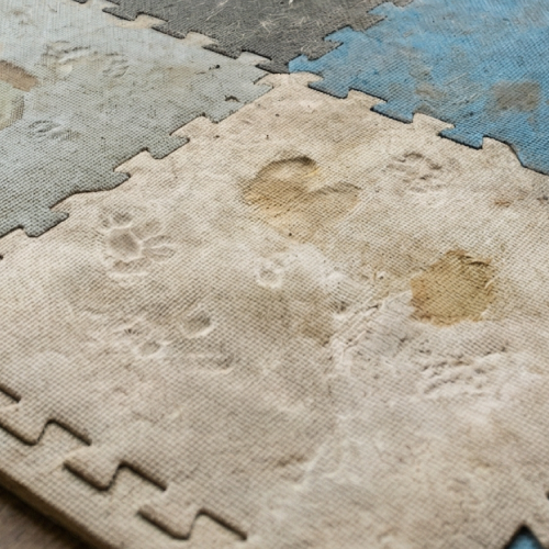 ジョイントマットのデメリット|犬の滑り止めはジョイントマットとペットフロアコーティングどっちが良い?費用や衛生面を徹底比較