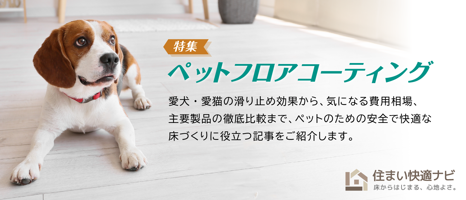 ペットフロアコーティング特集